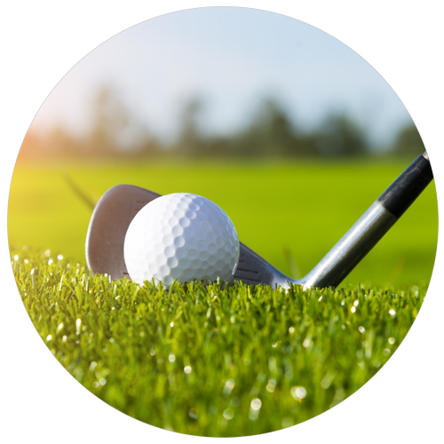 golf-callout