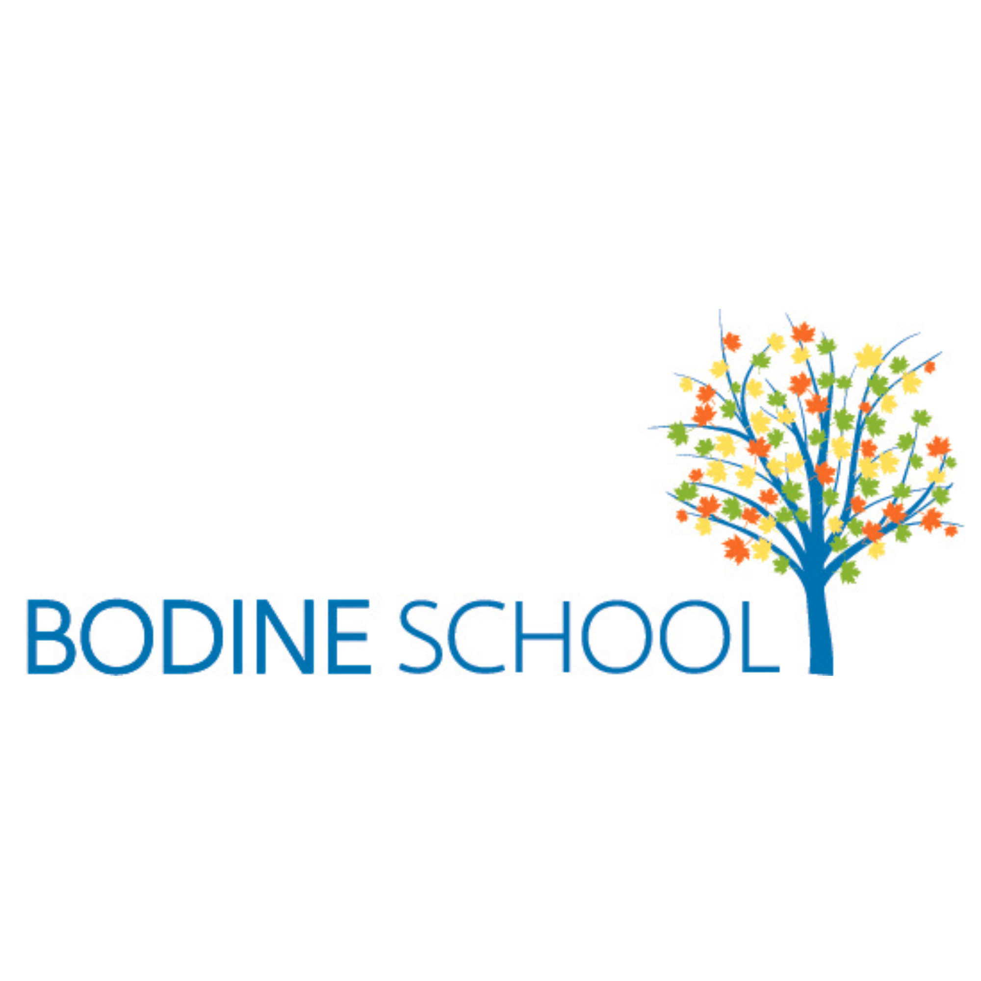 Bodine