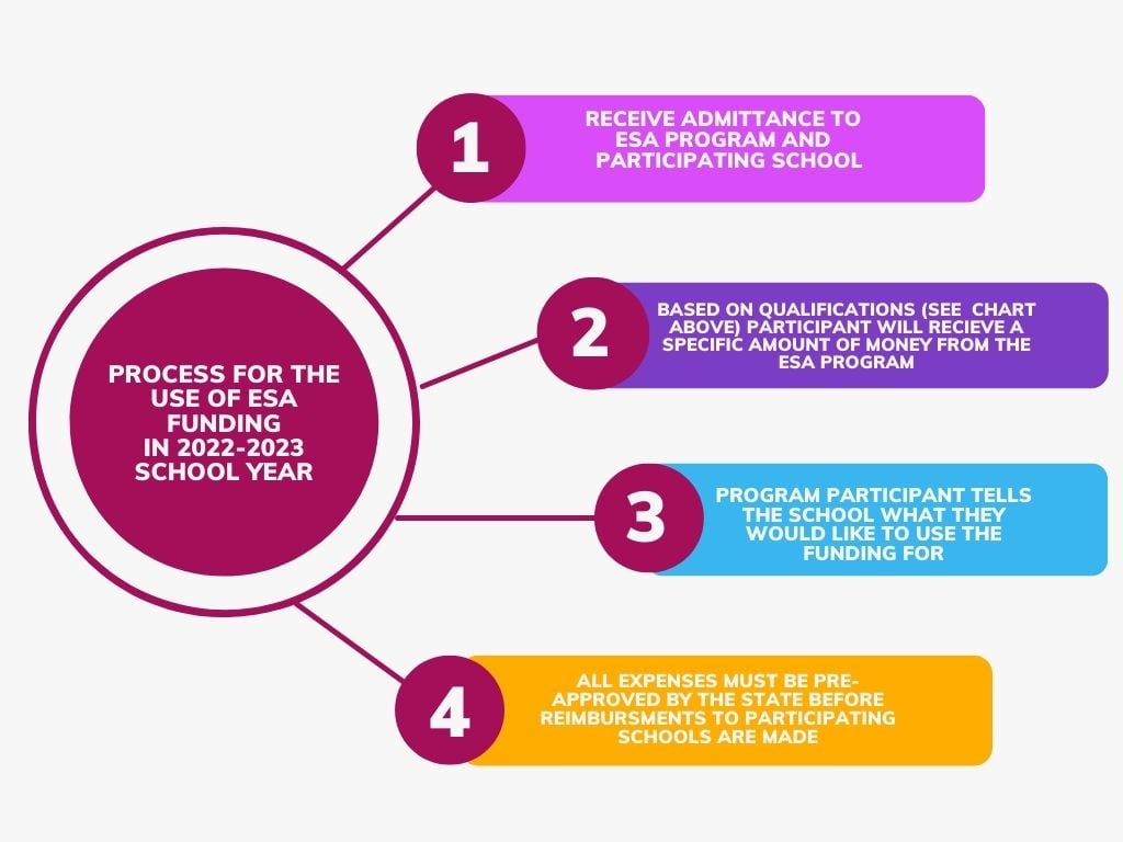 ESA Application Process