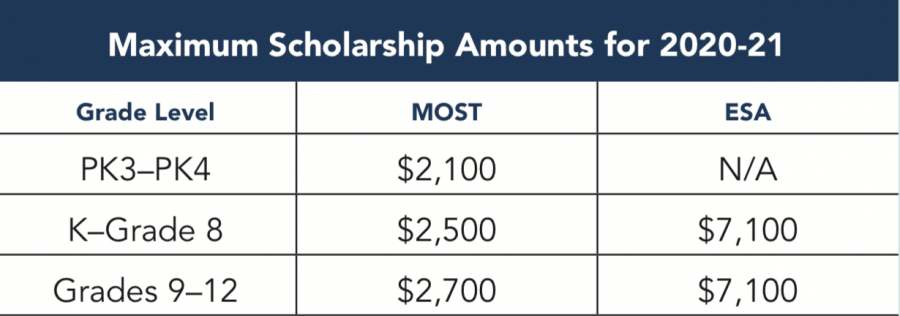 MOSTESA MaxScholarships