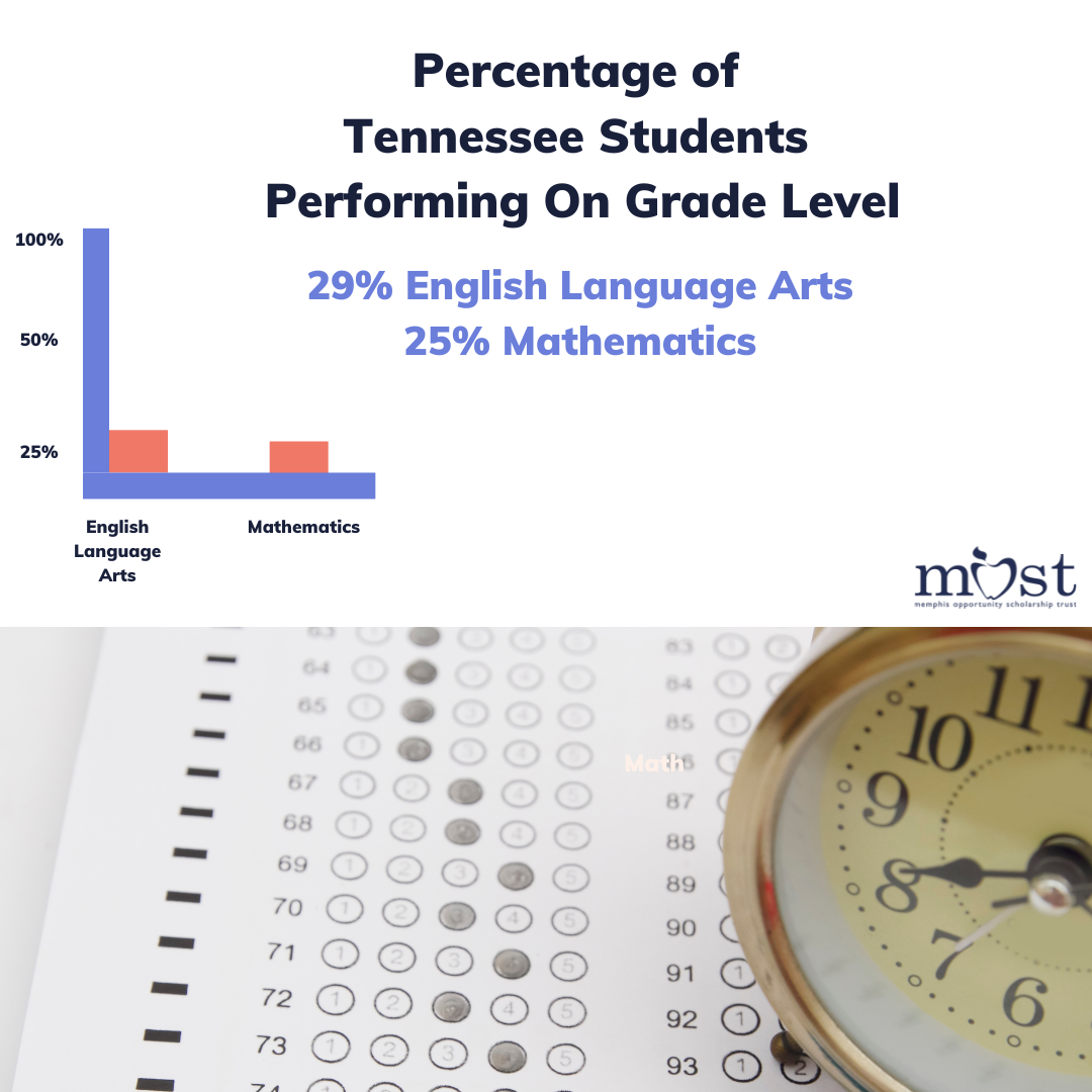 Recently released state testing results show that Shelby County Schools students appear to have suffered greater learning losses in math than in reading, especially among younger students.
