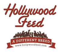 HollywoodFeed