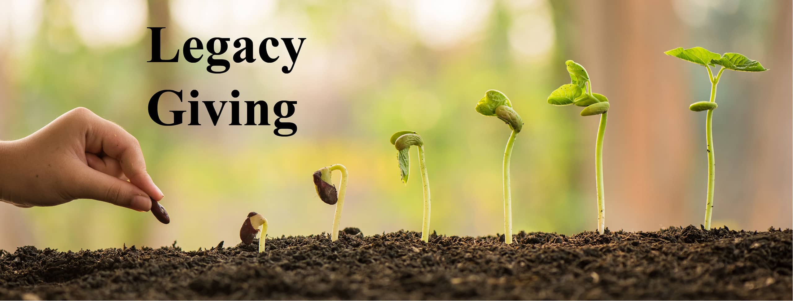 LegacyGiving_MOST-1 LegacyGiving_MOST-1